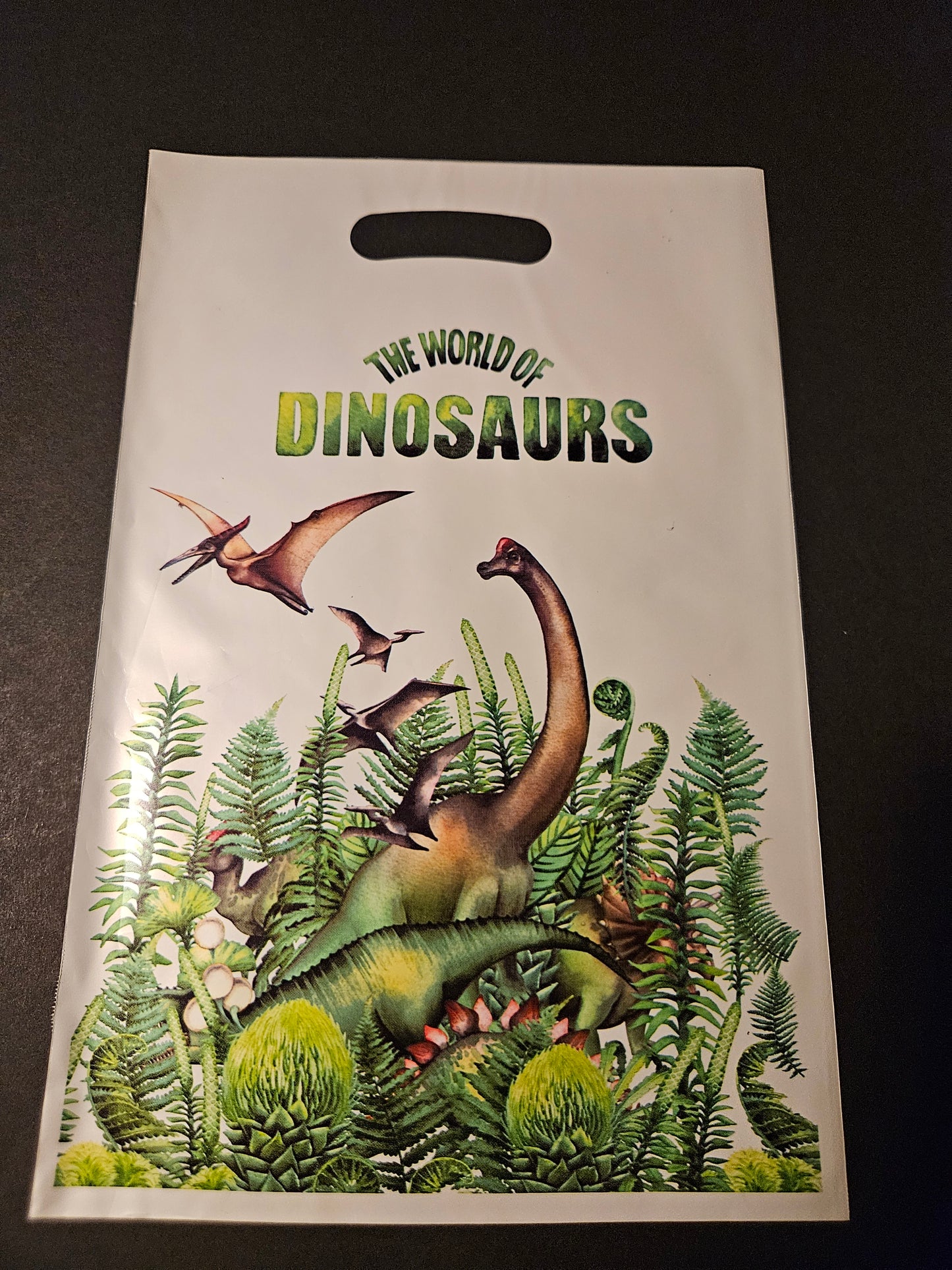 Dinosaur Bag